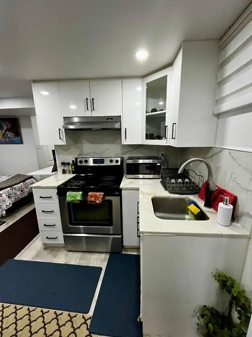 Brand New Single Unit Guest Basement Apartment Mississauga